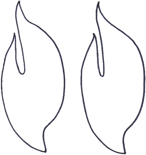 Flammes